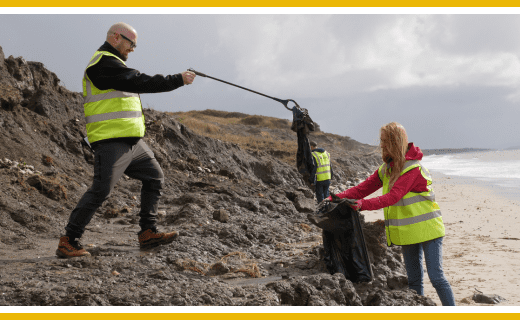 Volunteers collecting beach litter using a grabber.