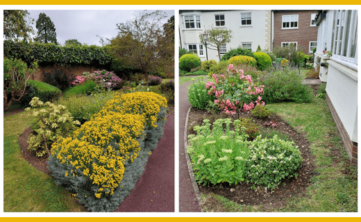 Award-winning Runnymede retirement garden.