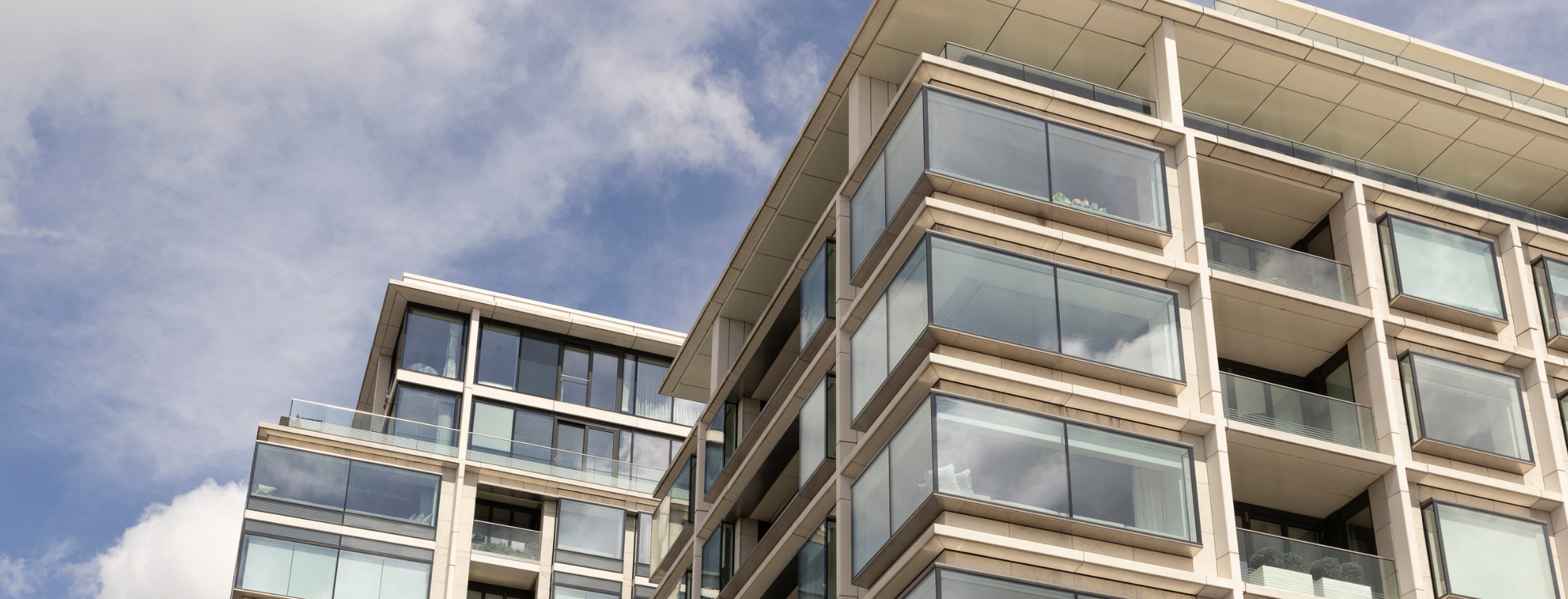 Web Template New (16)