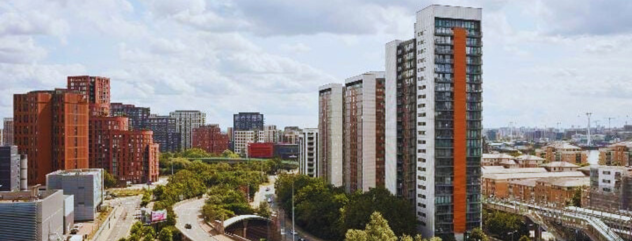 Web Template New (19)