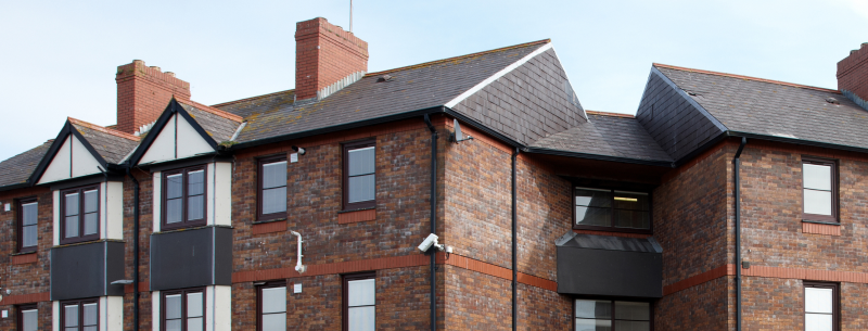 Web Template New (4)