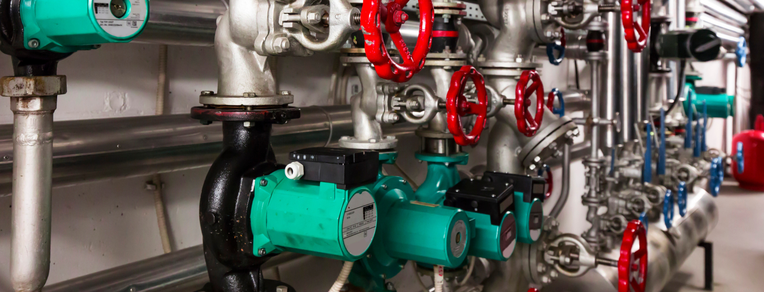 Web Template New (5)